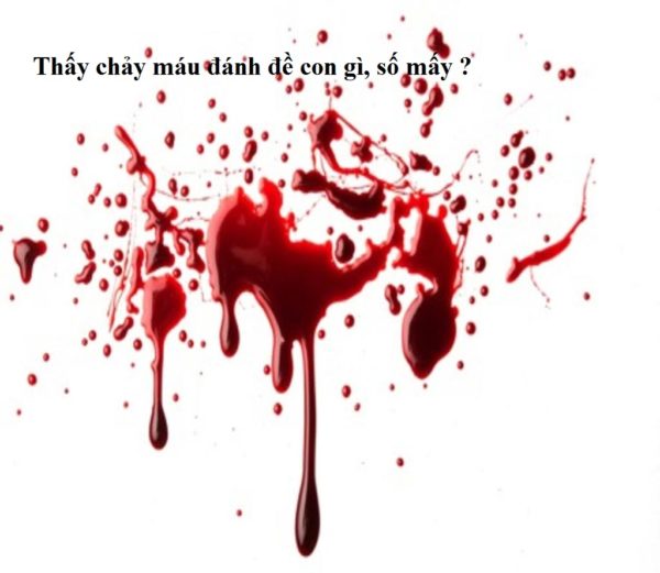 mc3a1u1-e1534951525463 thay-mau-danh-de-con-gi-so-may